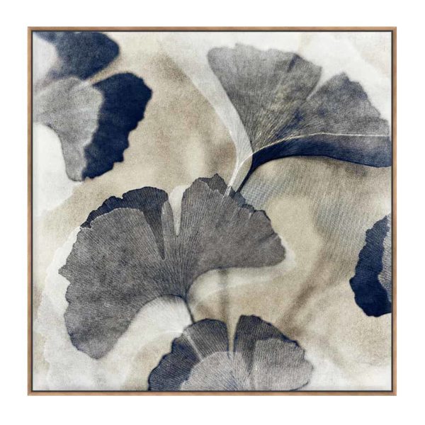 Gingko 1