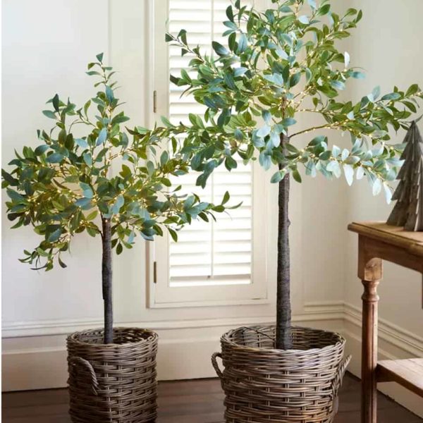 Olive Tree Dark Leaf Light Up Large - Image 2