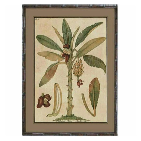 BV4 Banana Palm Print