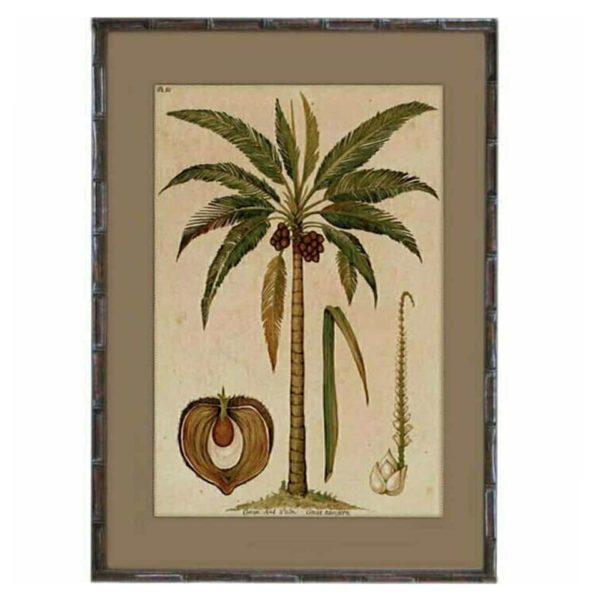 BV3 Cocoa Palm Print